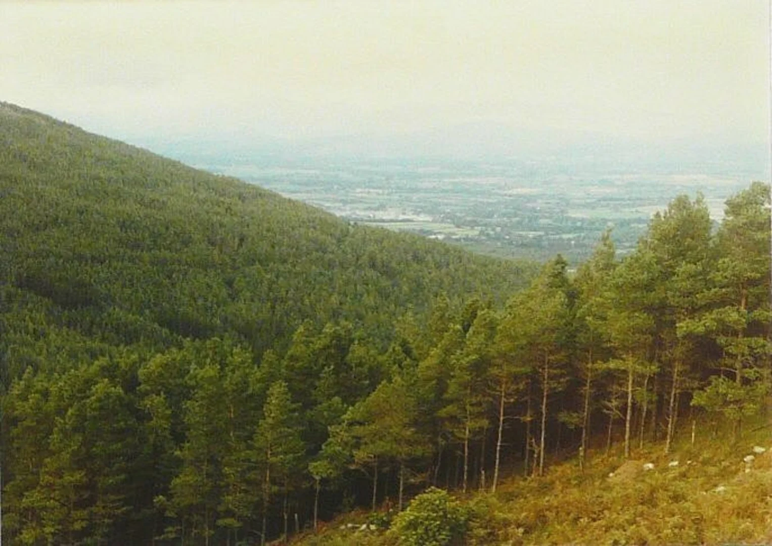 An image depicting the trail Sugarloaf Hill Loop via Blackwater Way and its surrounding area.