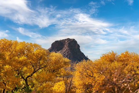 An image depicting the trail Firewater Trail via Javelina Trail and its surrounding area.