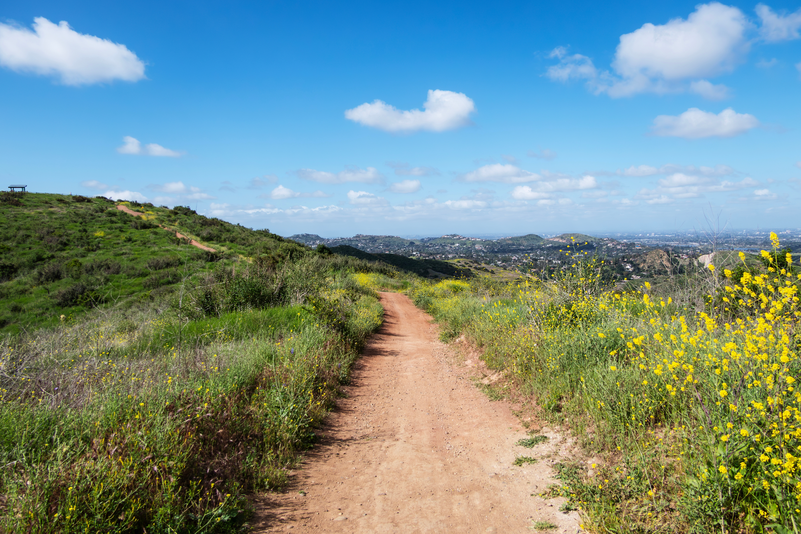 An image depicting the trail Oak, Robbers Peak and Mountain Goat Loop Trail and its surrounding area.