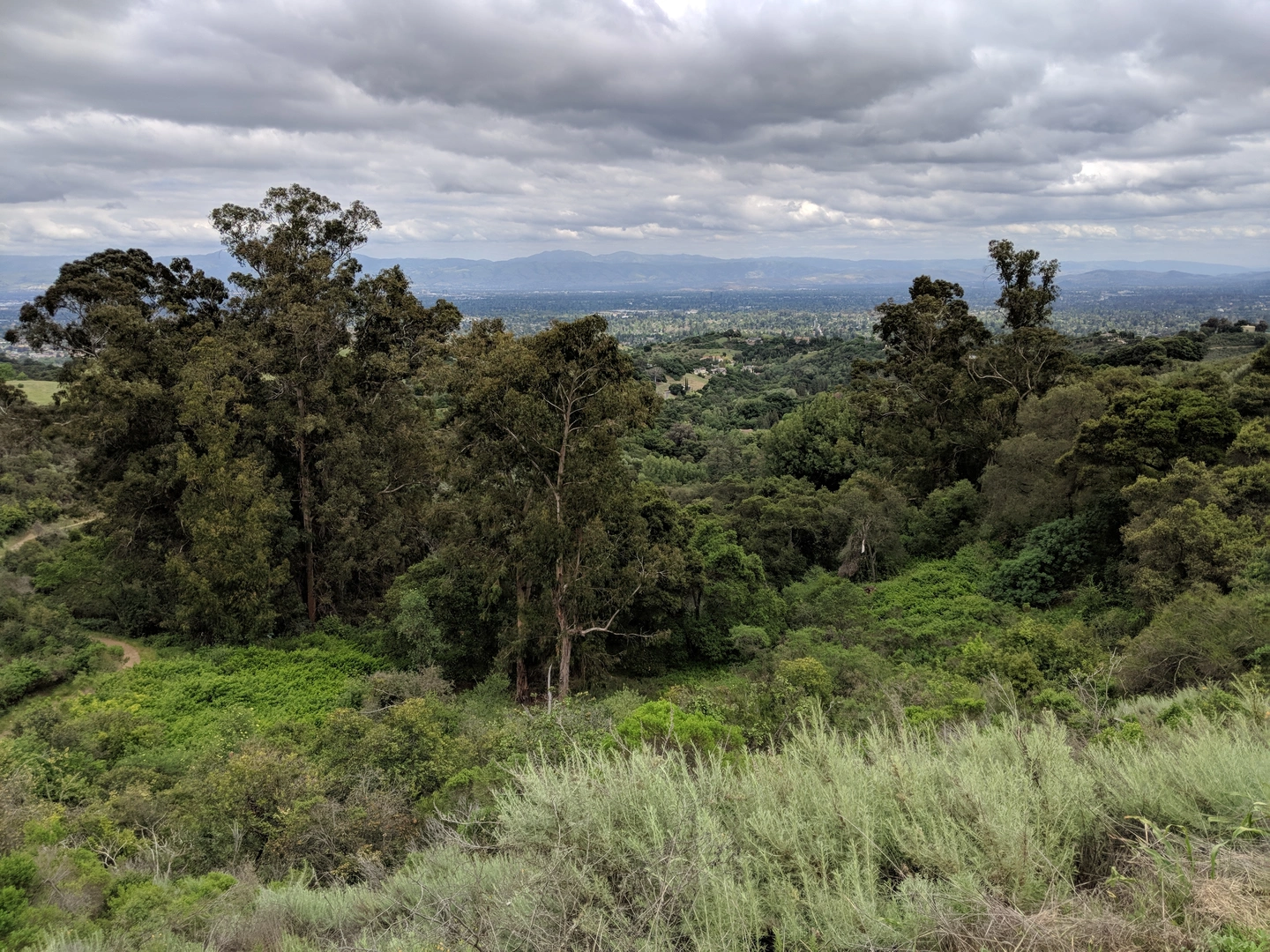 An image depicting the trail Maisie's Peak, Hunters Point and Nob Hill Loop and its surrounding area.