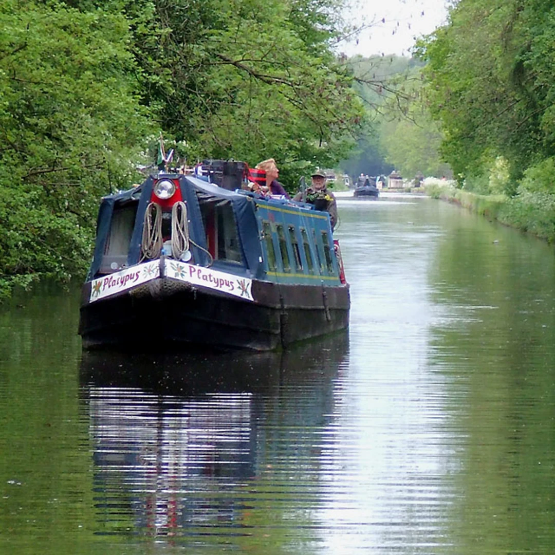 An image depicting the trail Brewood Short Loop and its surrounding area.