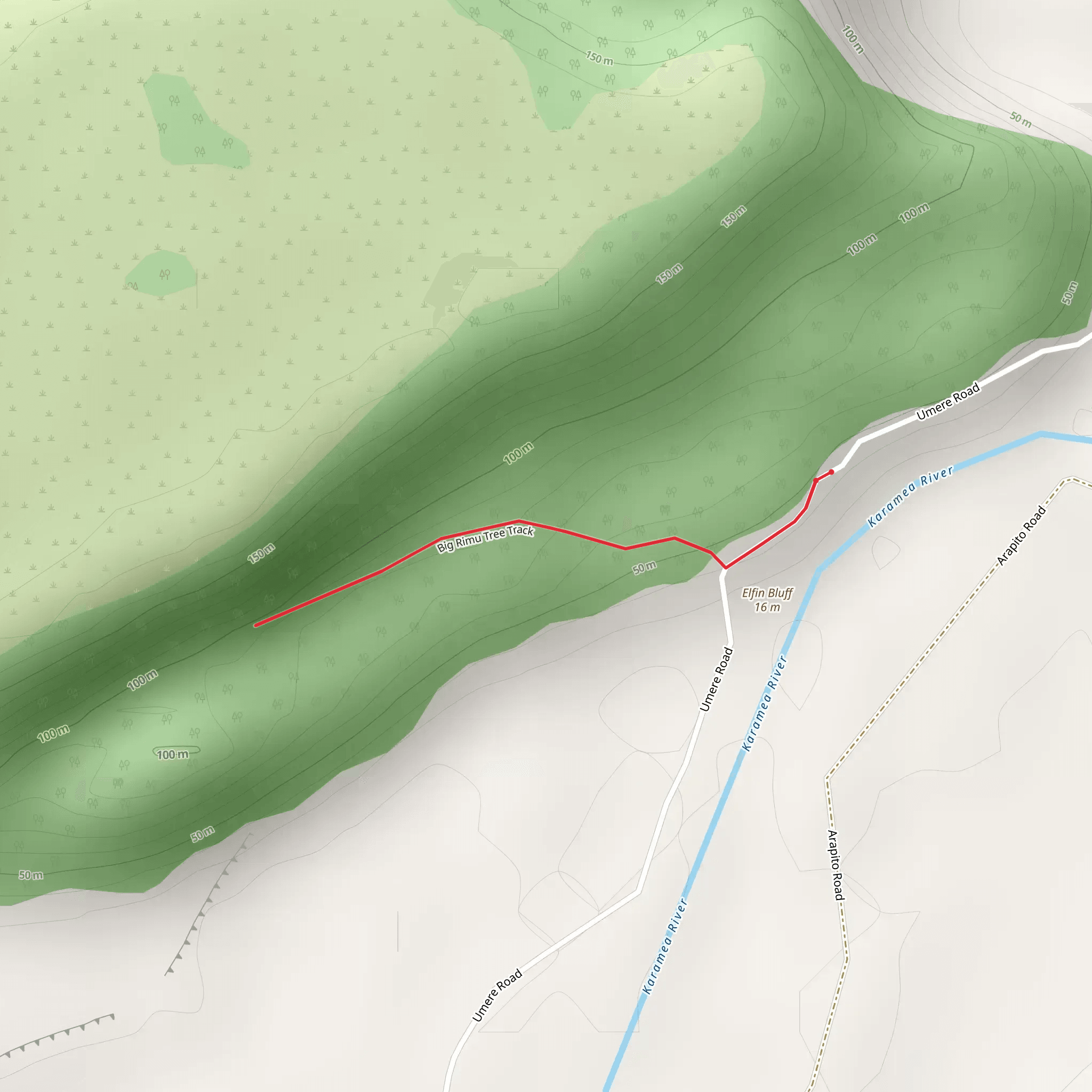 Big Rimu Walk mobile static map