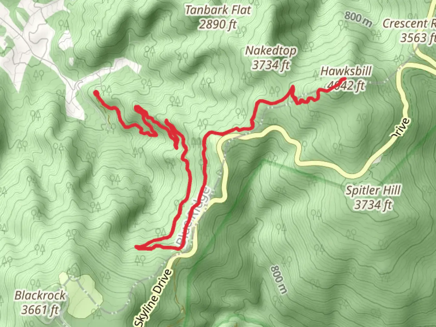 An image depicting the trail Hawksbill via Red Gate and Appalachian Trail and its surrounding area.