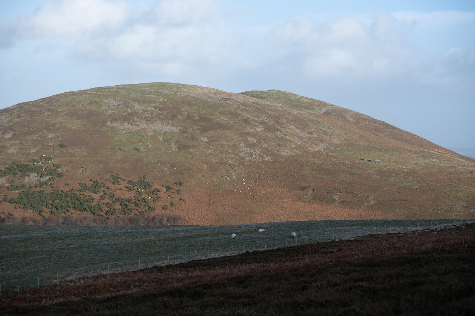 An image depicting the trail Hethpool Linn and Yeavering Bell Walk and its surrounding area.