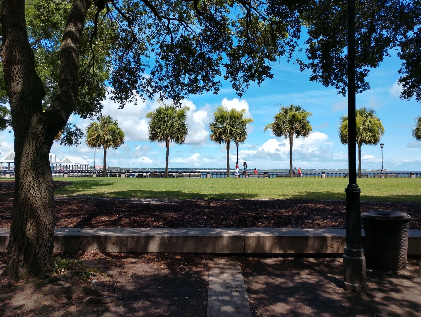 An image depicting the trail Waterfront Park Loop and its surrounding area.