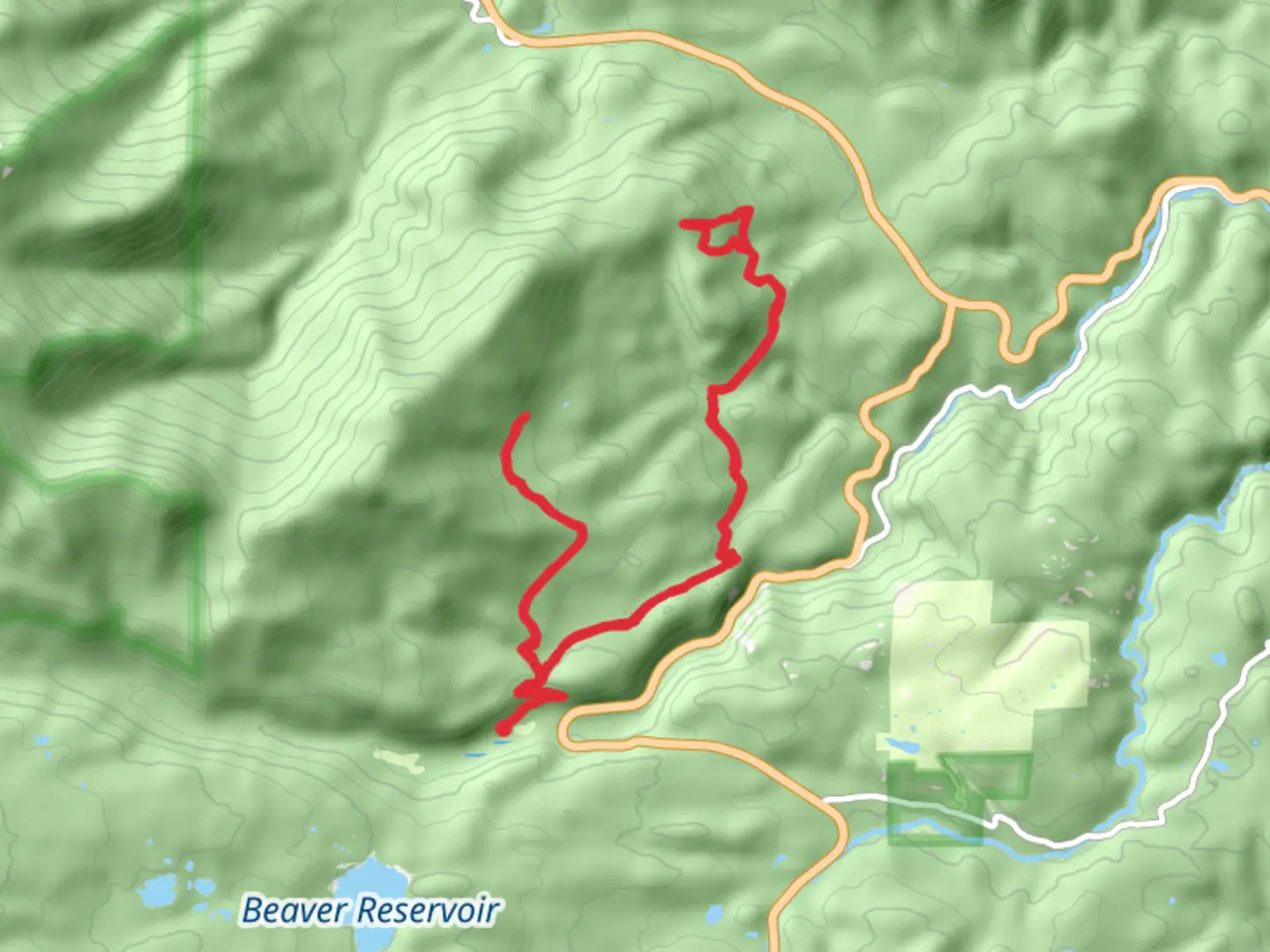 An image depicting the trail Bunce School Road and its surrounding area.