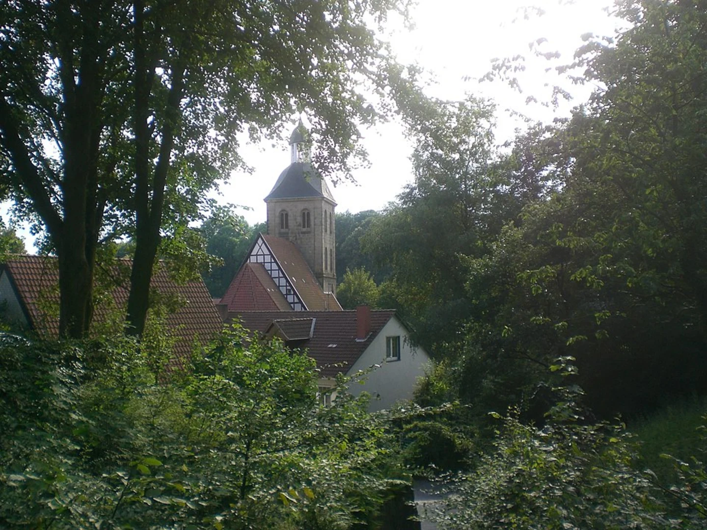 An image depicting the trail Hexenpfad and Rheine Linen Loop and its surrounding area.