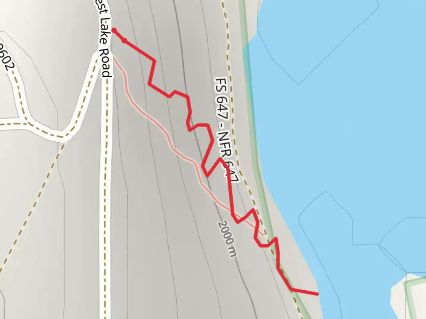 An image depicting the trail Forest Lake Trail and its surrounding area.