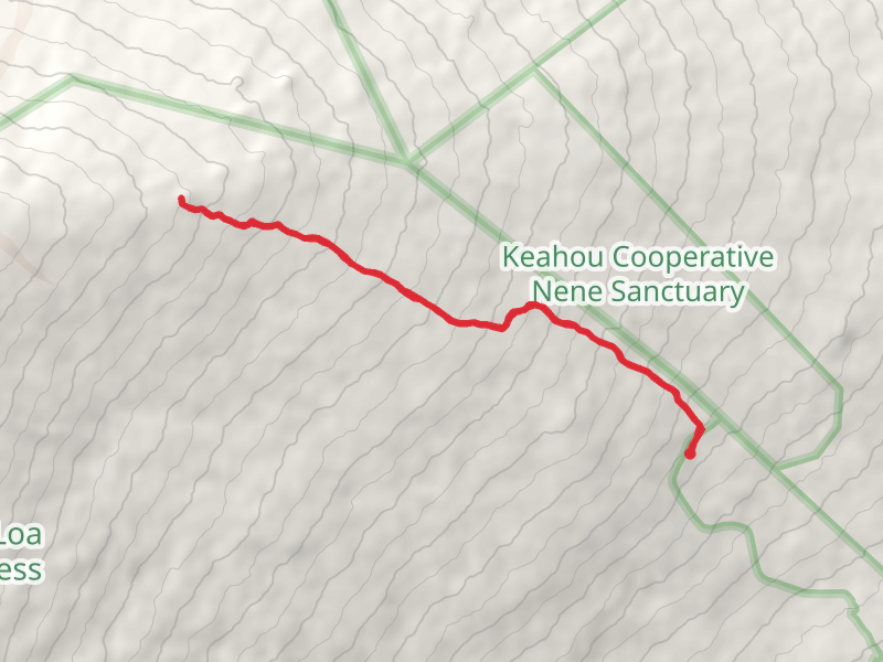 Puʻuʻulaʻula - Red Hill via Mauna Loa Trail