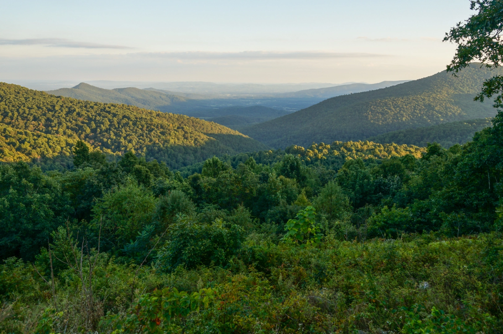 An image depicting the trail Lewis Peak via Rockytop Trail and its surrounding area.