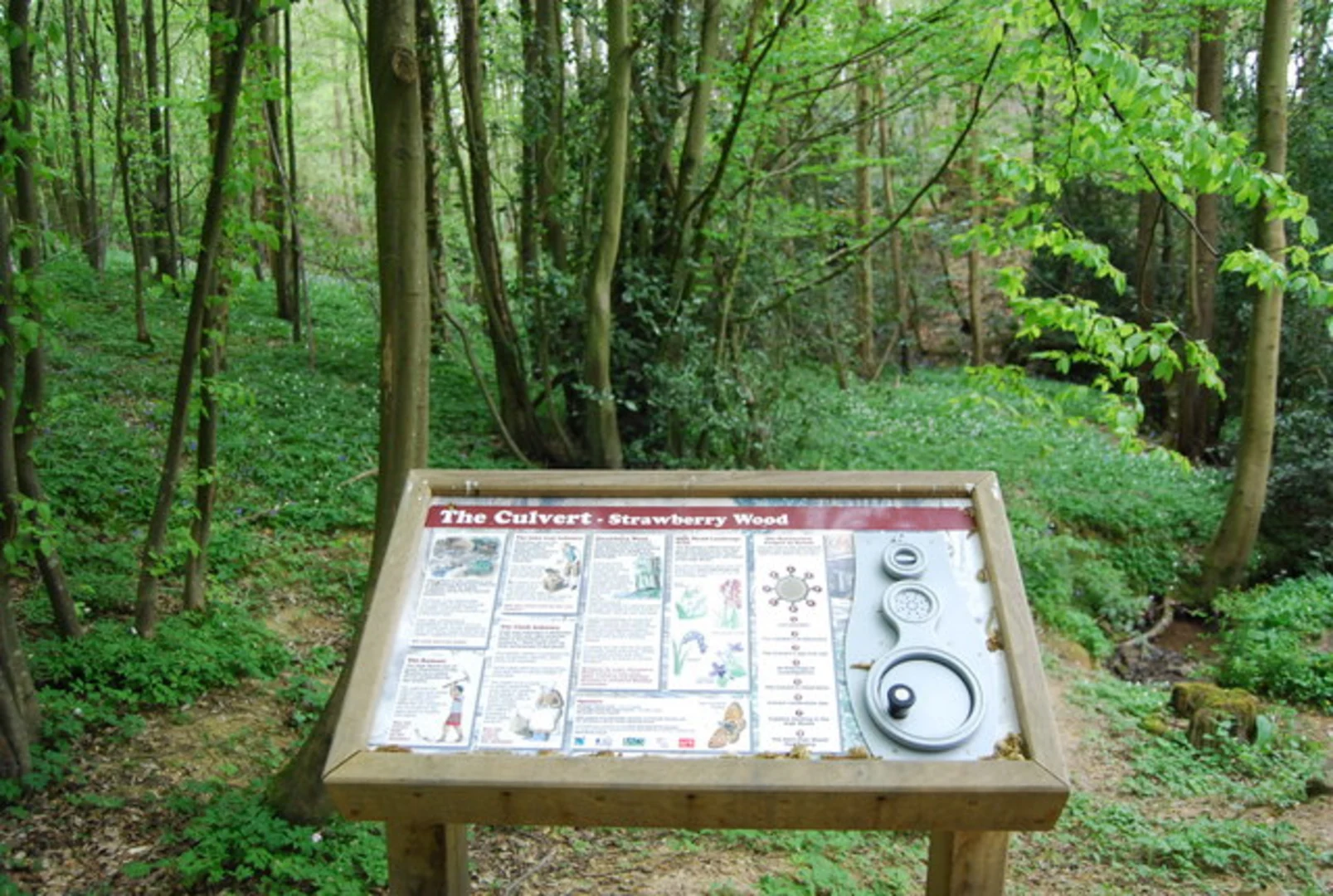 An image depicting the trail Cranbrook to Benenden Loop and its surrounding area.