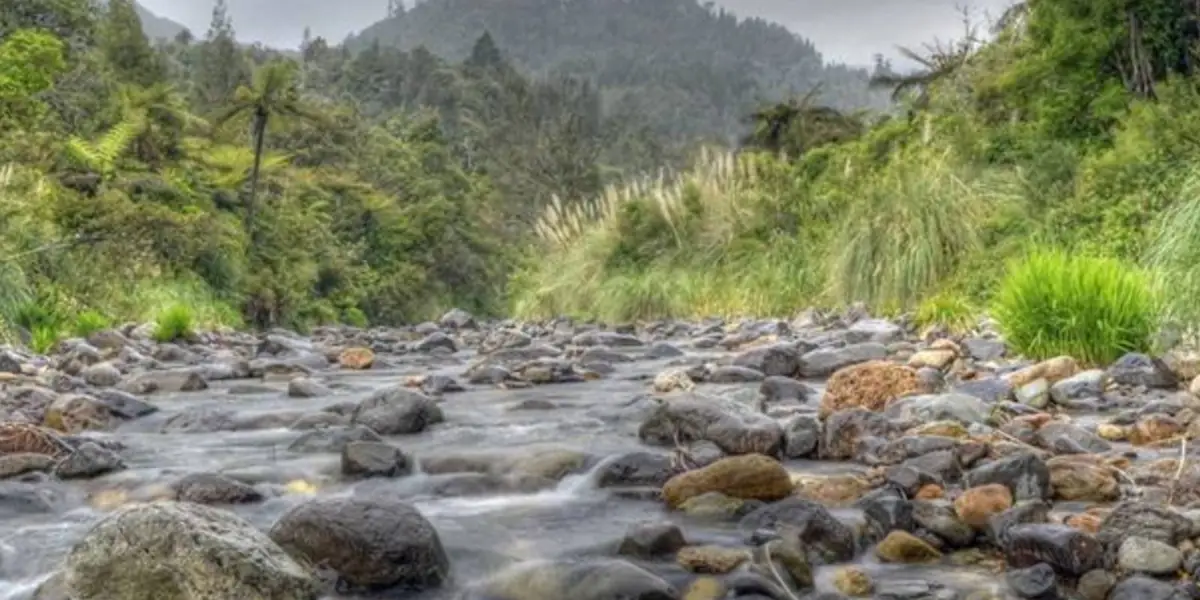 Maratoto - Wires Track