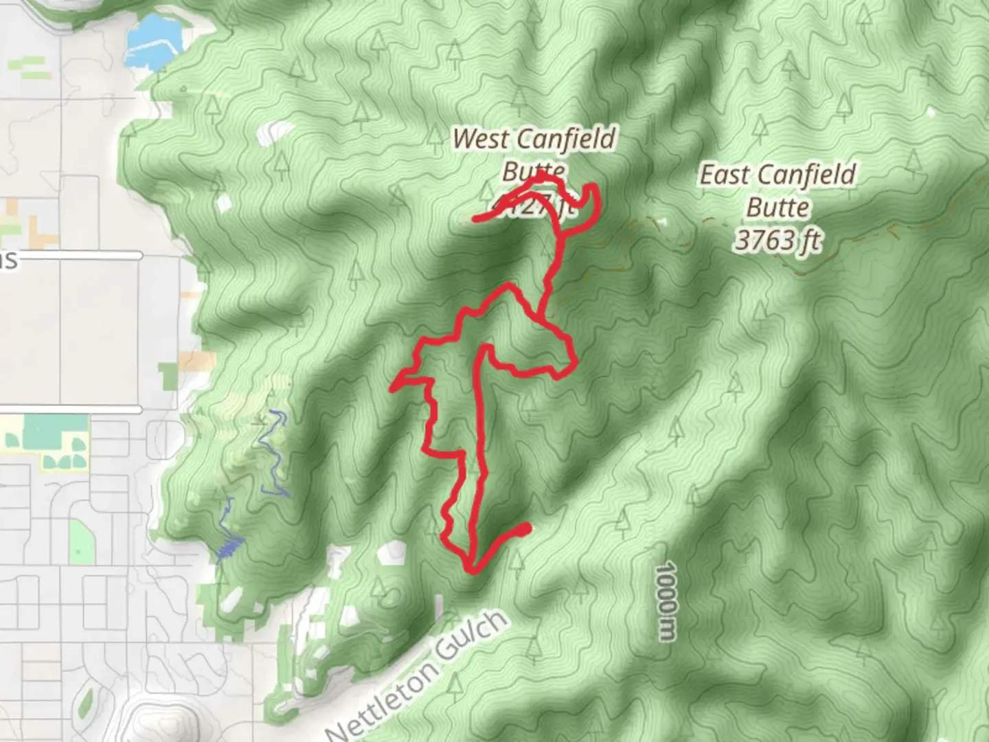 An image depicting the trail Trail 3 and Trail 5 Loop and its surrounding area.