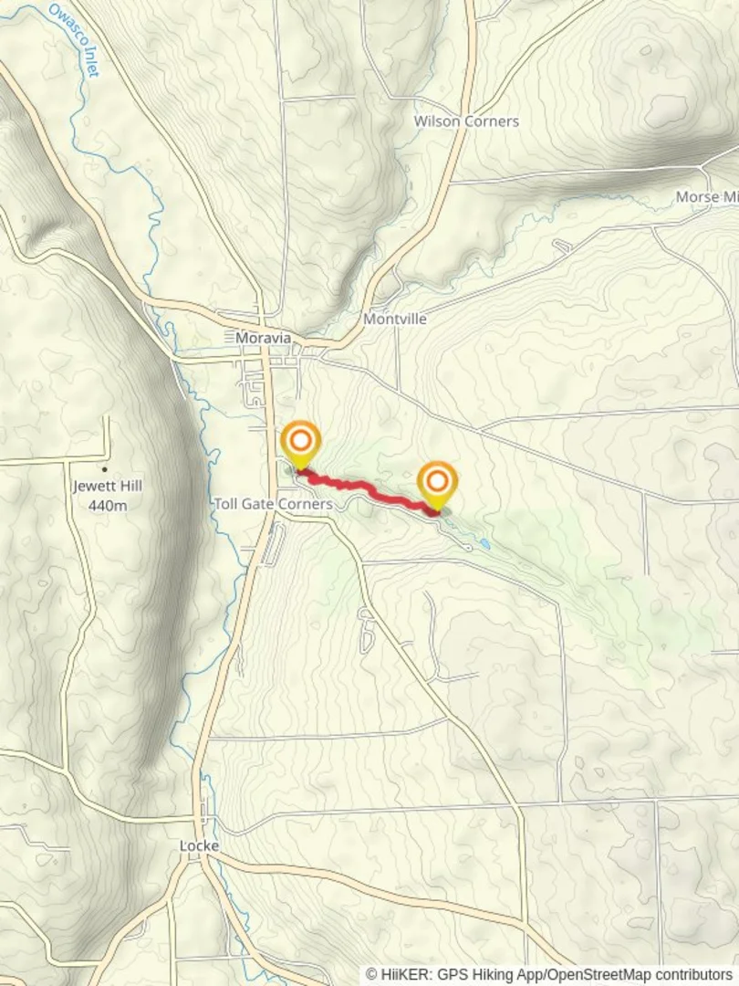 An image depicting the trail Dry Creek from Fillmore Glen State Park and its surrounding area.