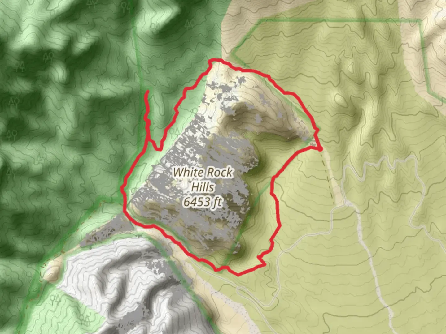 An image depicting the trail White Rock Loop - Moderate and its surrounding area.