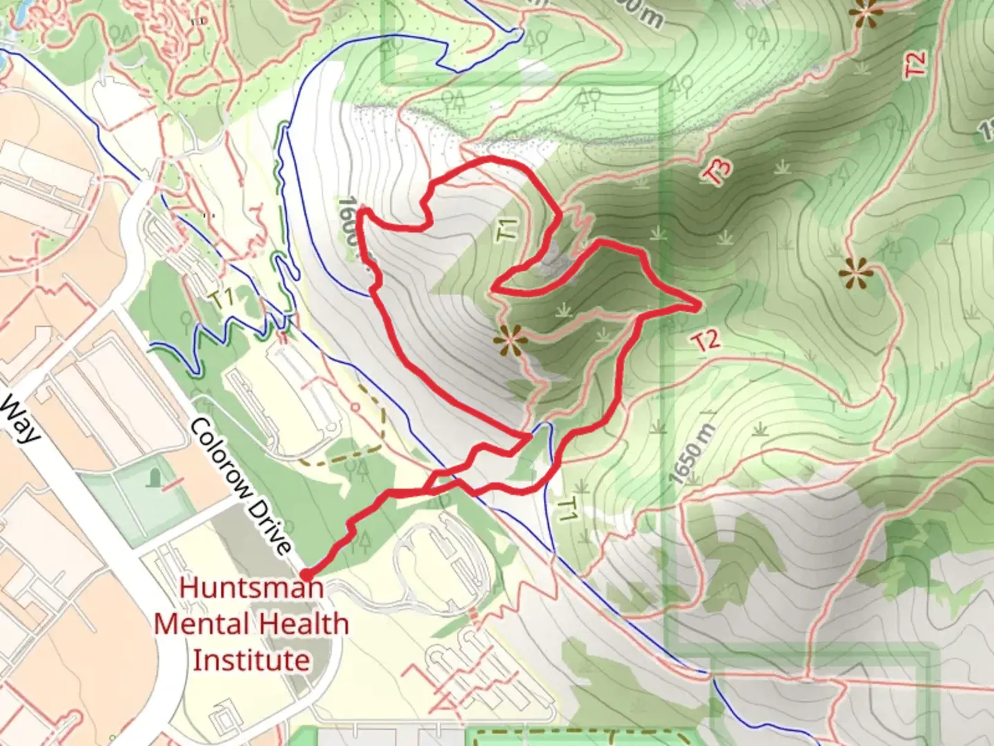 An image depicting the trail Skyline Trail East Loop and its surrounding area.