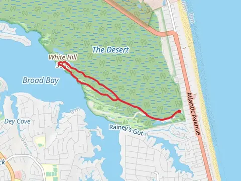 Osprey, White Hill and Long Creek Loop Trail