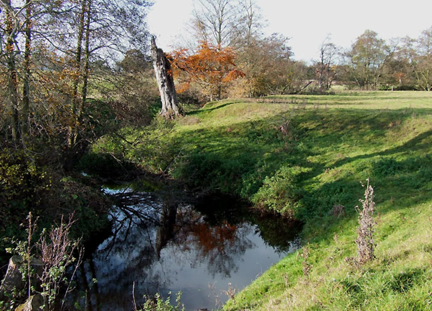 An image depicting the trail Rea Brook Walk and its surrounding area.