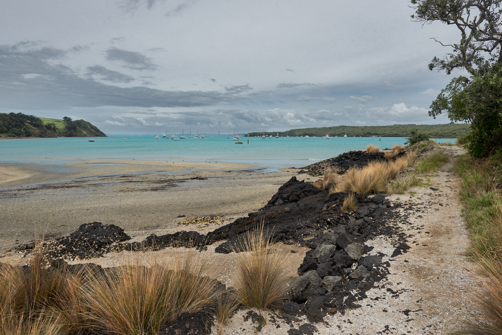 An image depicting the trail Rangitoto Island Longer Walks - Islington Bay Road to Wreck Bay and its surrounding area.
