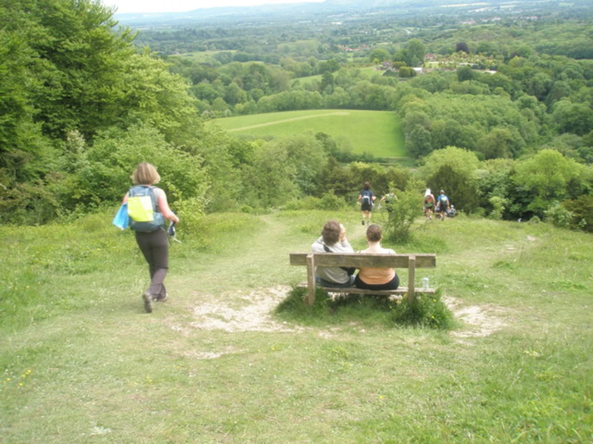 Shoulder of Mutton Hill and Wheatham Hill via Hangers Way