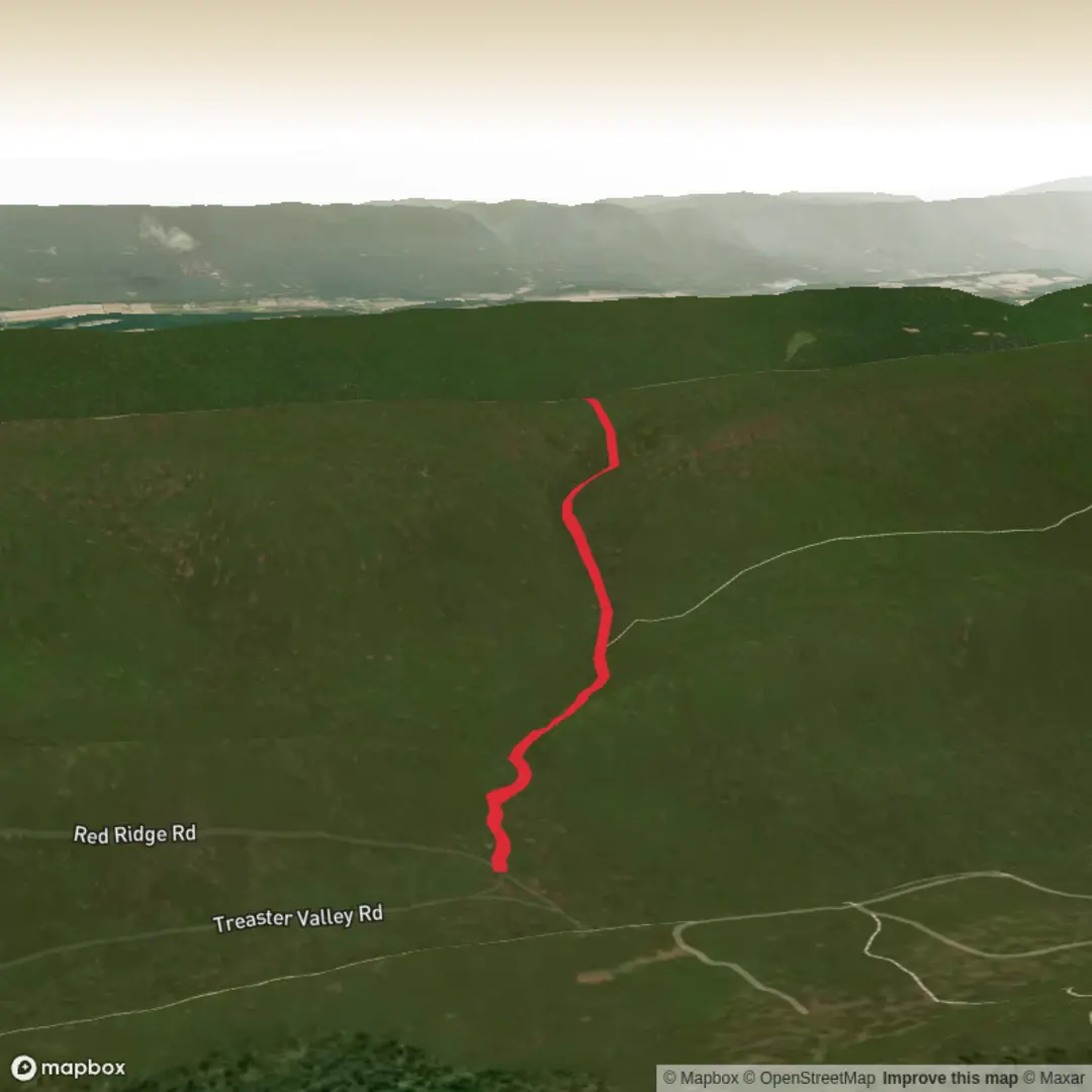 An image depicting the trail Bear Gap Trail and its surrounding area.