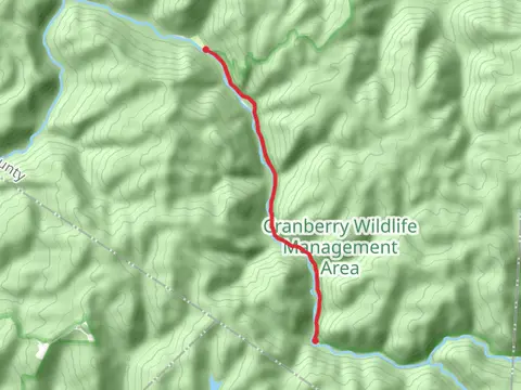 Walk along Cranberry River