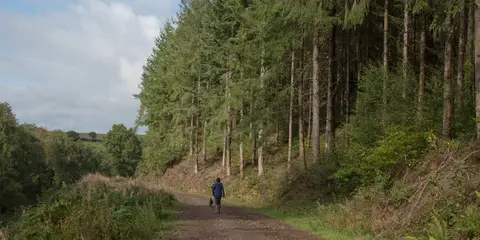 An image depicting the trail Douglas Fir Trail and its surrounding area.