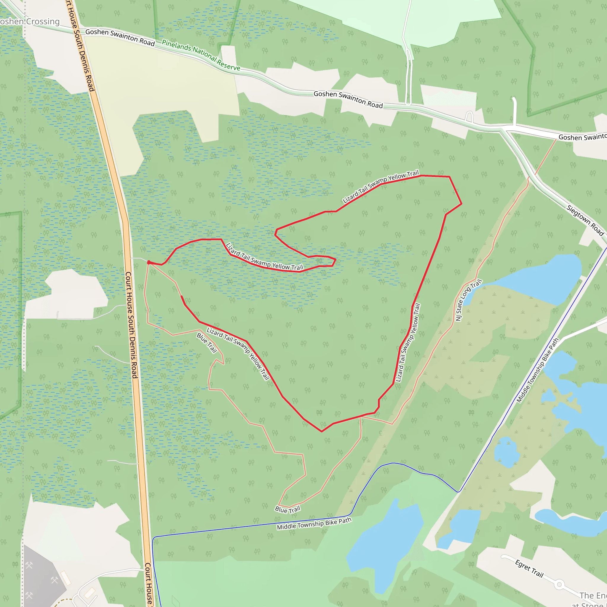 NJ State Long Trail and Lizard Tail Swamp Yellow Trail Loop mobile static map