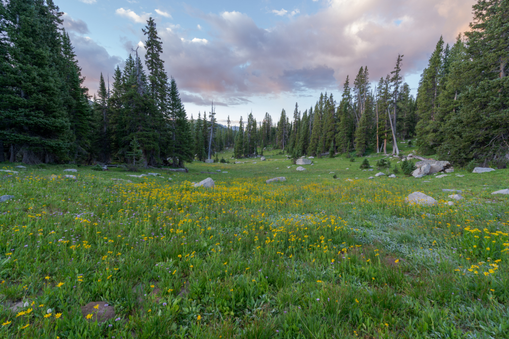 An image depicting the trail Mormon and Lyle Lake Trail and its surrounding area.