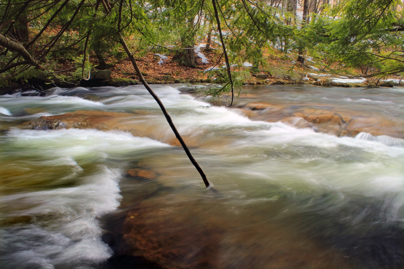 An image depicting the trail Laurel Run Creek Trail and its surrounding area.