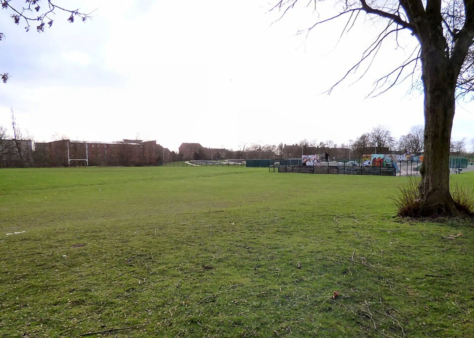 An image depicting the trail Platt Fields Park Loop and its surrounding area.