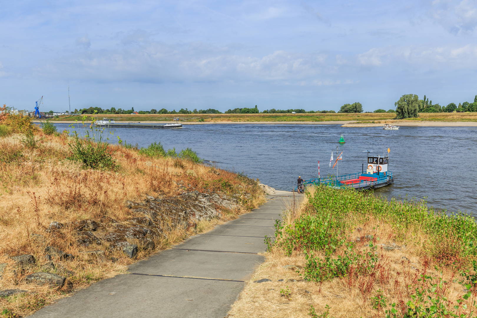 An image depicting the trail Halve Maan and Regte Heide and Riels Laag Loop and its surrounding area.