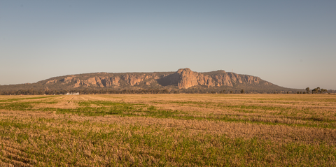 An image depicting the trail Mount Arapiles Gully Track and its surrounding area.