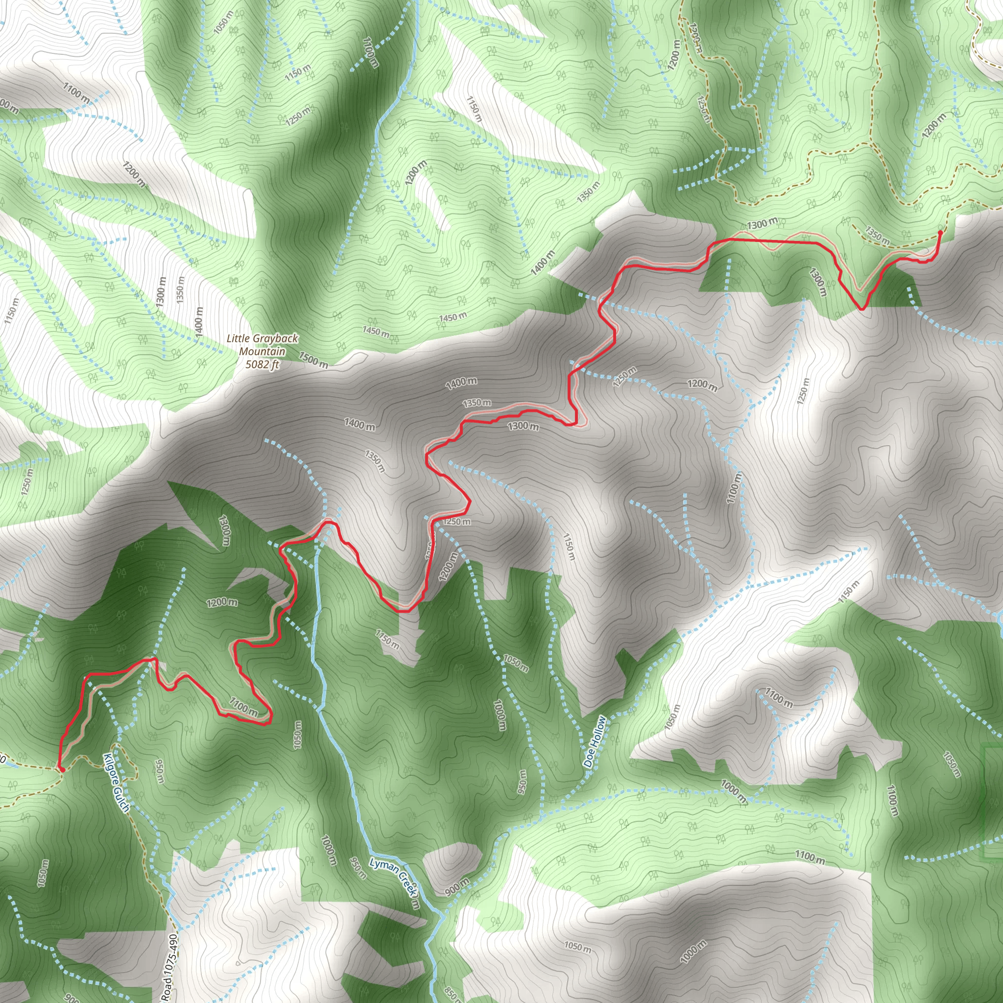 Little Grayback Trail mobile static map