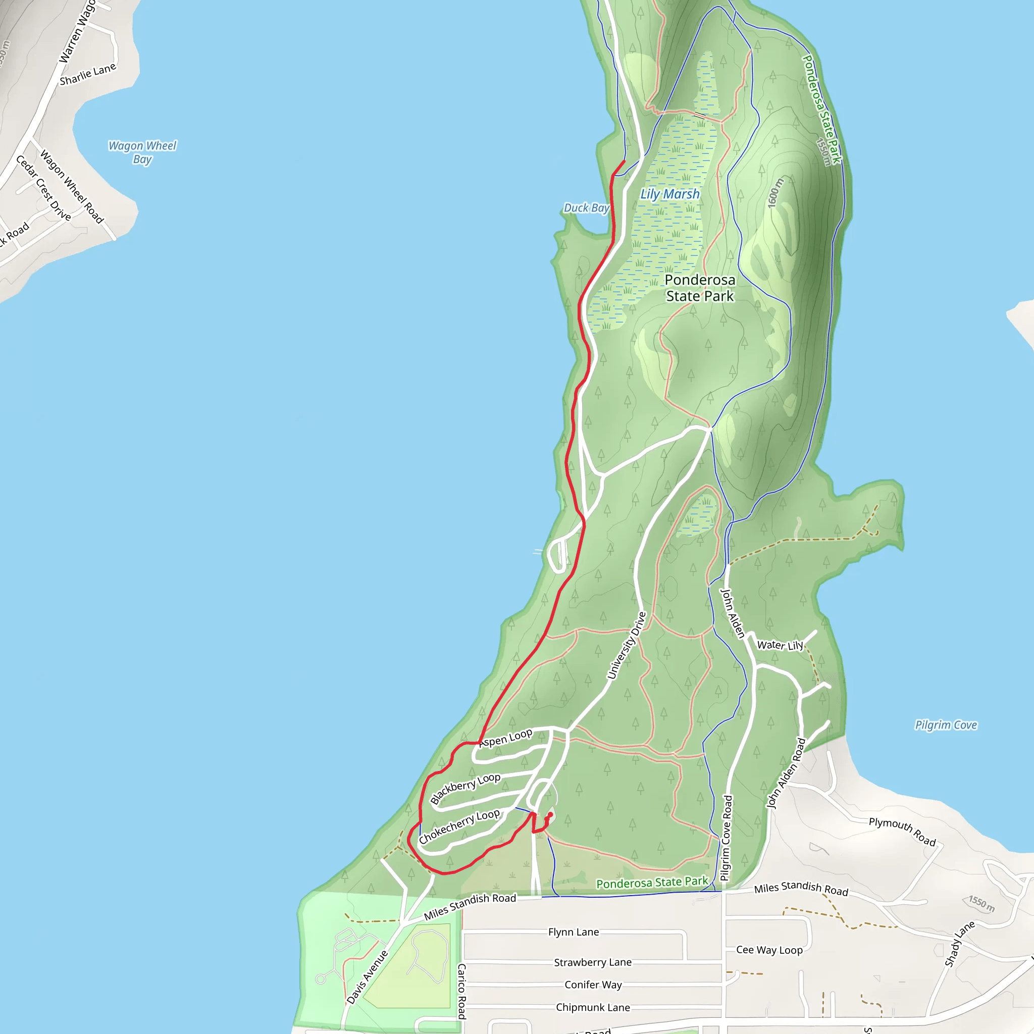 Payette Lake - Peninsula Trail mobile static map