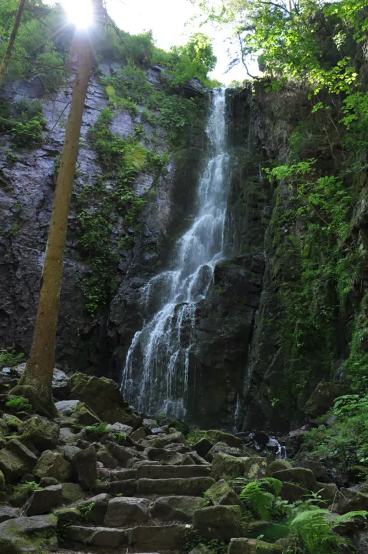 An image depicting the trail Burgbachwasserfall and River Wolf Loop and its surrounding area.
