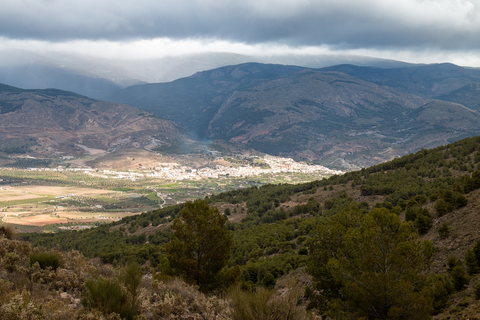 An image depicting the trail Sendero Monterrey PR A 35 and its surrounding area.