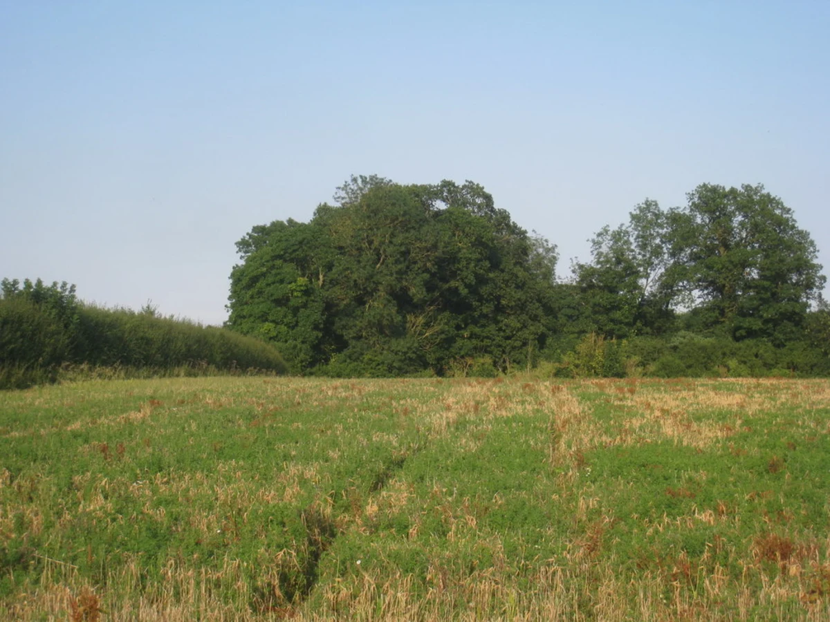 Binbrook to Stainton Le Vale Loop