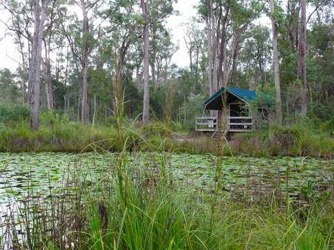 The Maria Island Walk