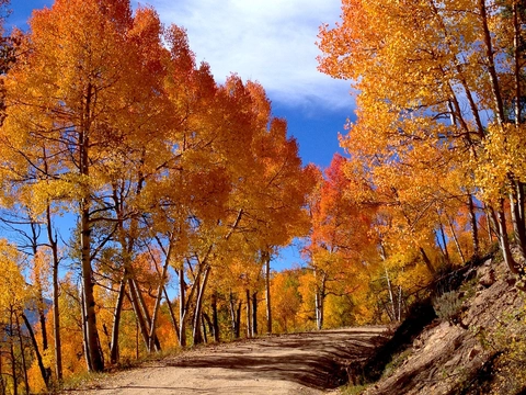 An image depicting the trail Bald Mountain Trail and its surrounding area.