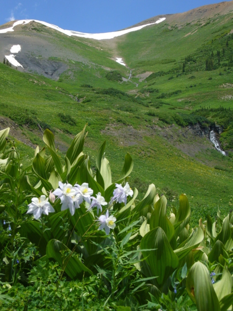 An image depicting the trail Rustler Gulch Trail and its surrounding area.