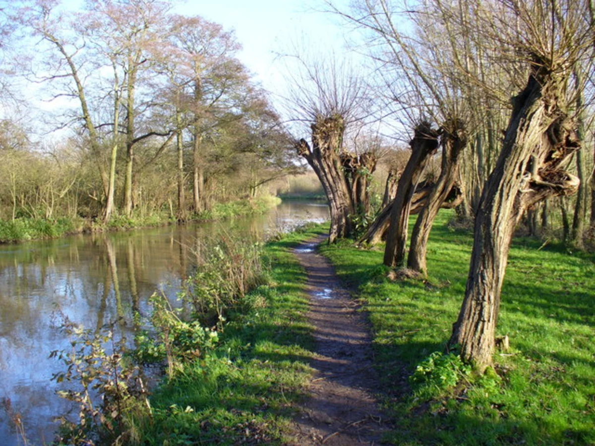 Guildford to Woking Walk