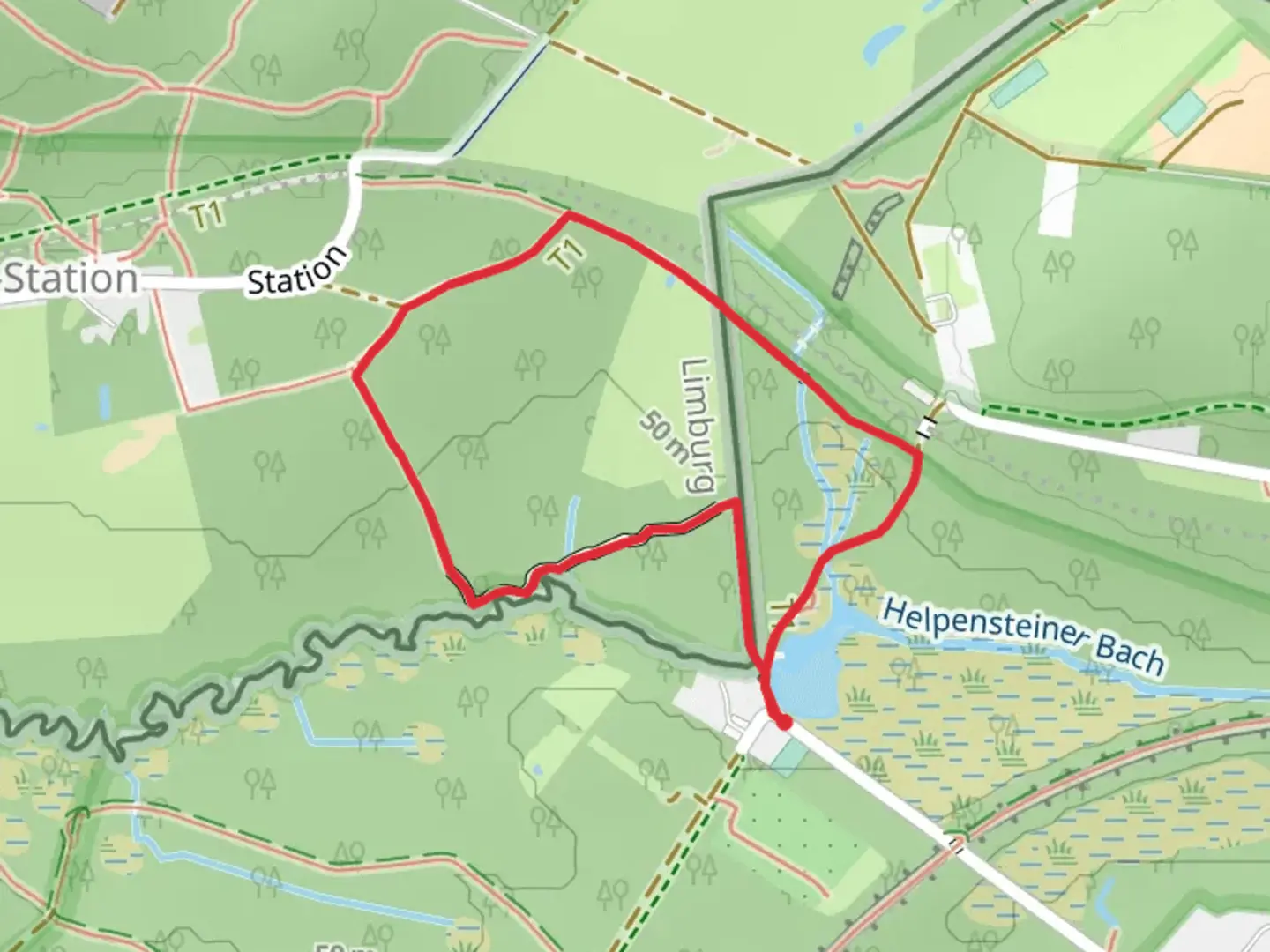 An image depicting the trail Knuppelhout bruggetje and Dalheimer Mühle Loop and its surrounding area.