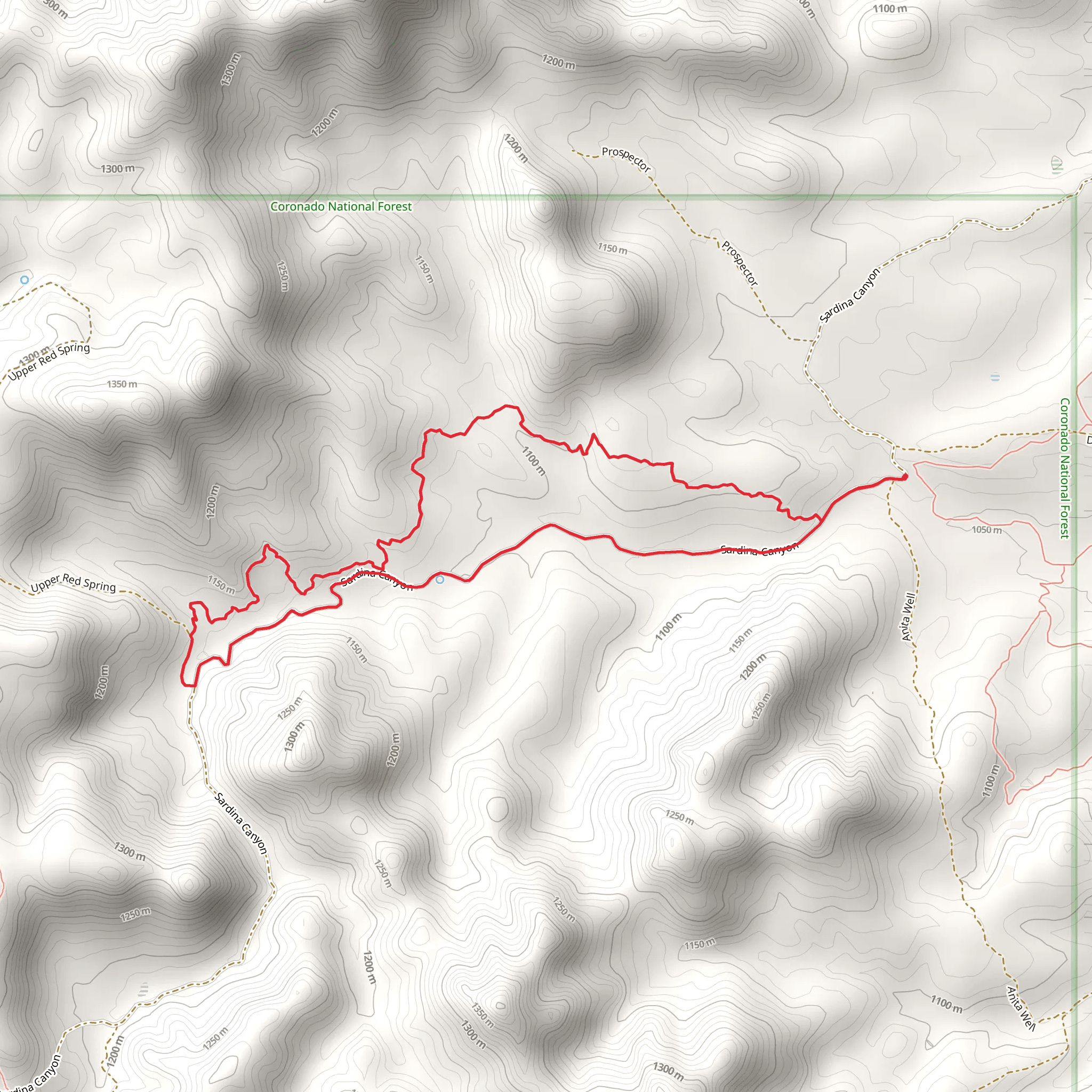 Puerto and Sarding Canyon Loop mobile static map