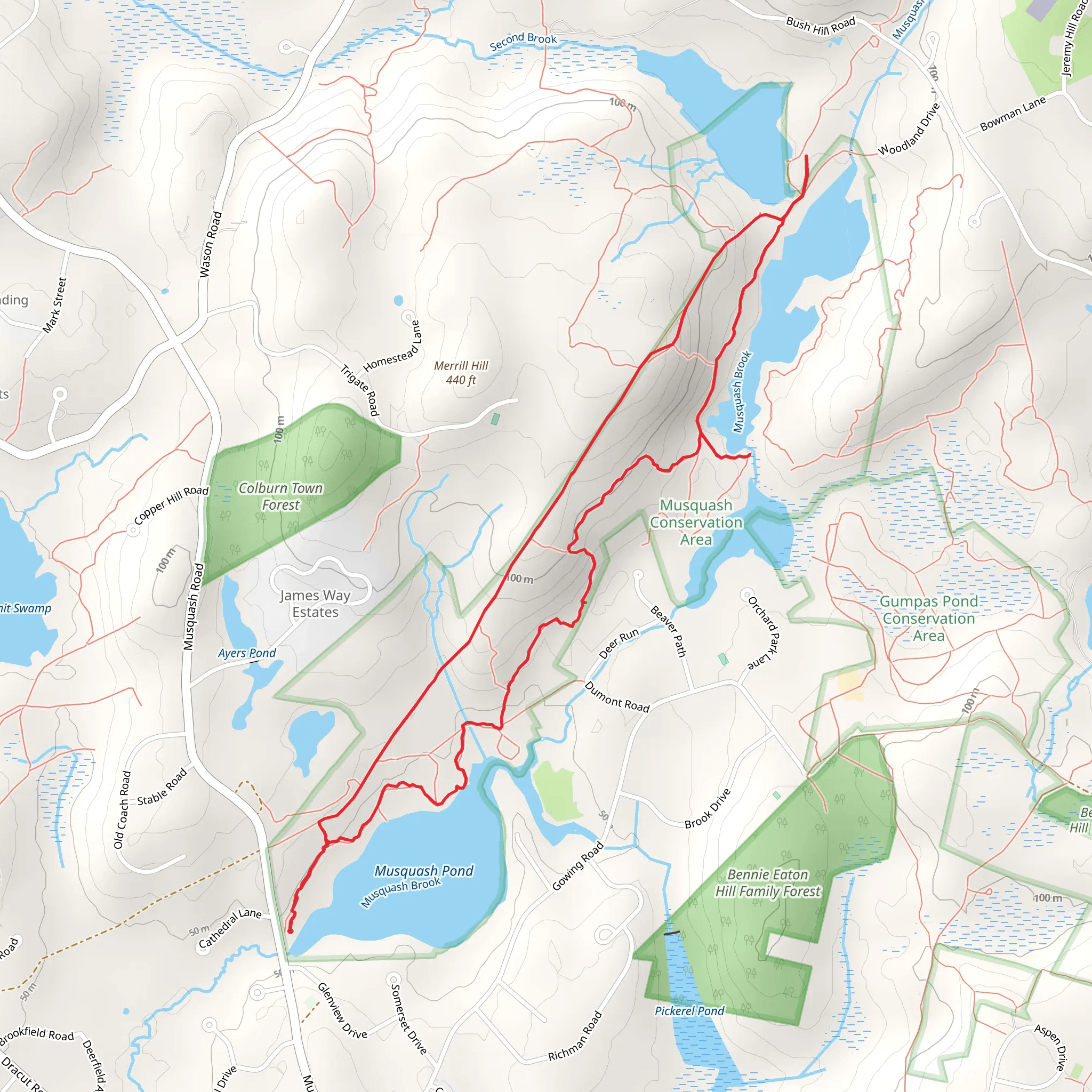 Musquash Conservation Land Loop mobile static map
