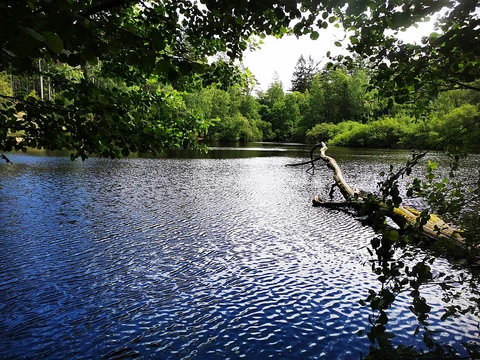 An image depicting the trail Eselsweg and its surrounding area.