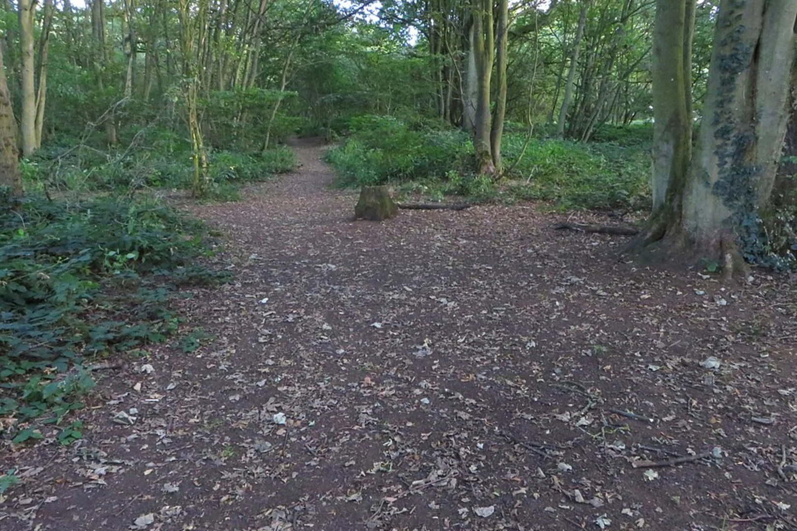 An image depicting the trail Preston Capes Country Park Loop and its surrounding area.