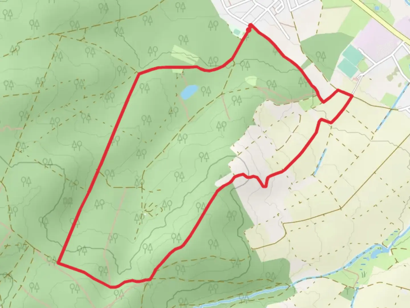 An image depicting the trail Edelweissweg and Rodenbach Loop and its surrounding area.
