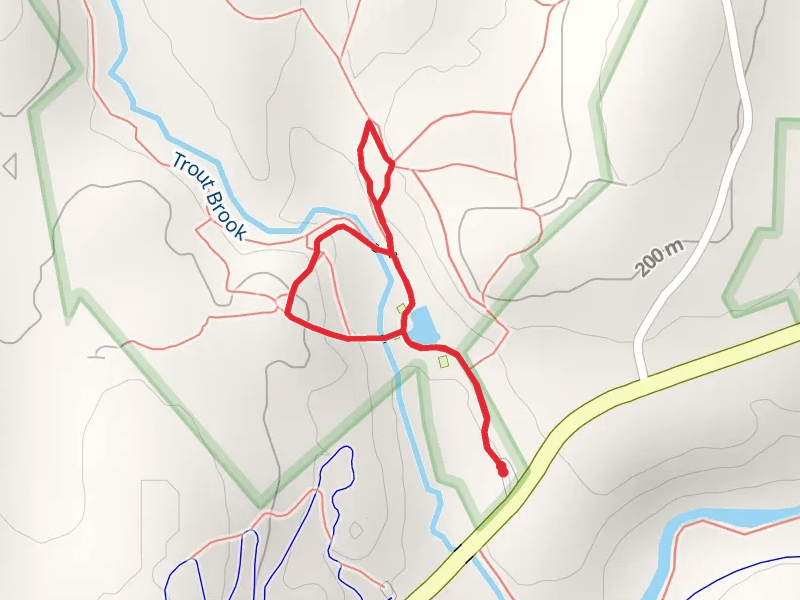 Trout Brook via Short Loop and White Dot Trail