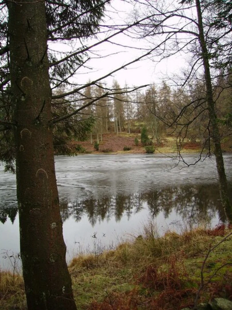 An image depicting the trail Knipe Tarn, Lambhowe Plantation and Crook Country Park Loop and its surrounding area.